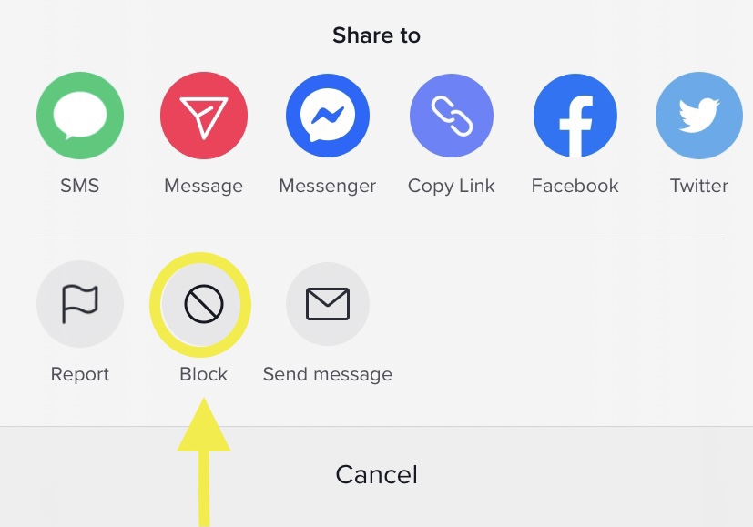 block a user on tik tok